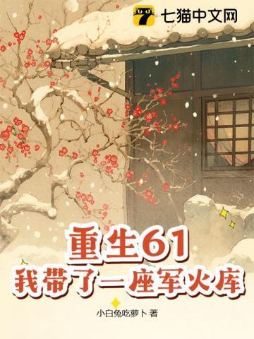 重生六零带着一座山