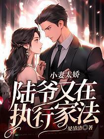小妻好甜l陆少引人怀