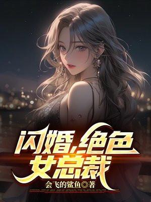 闪婚高冷美女总裁免费阅读