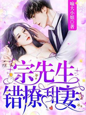 宗先生追妻