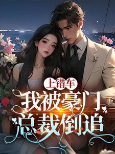 总裁上错车免费阅读总裁