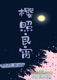樱照良宵电视剧