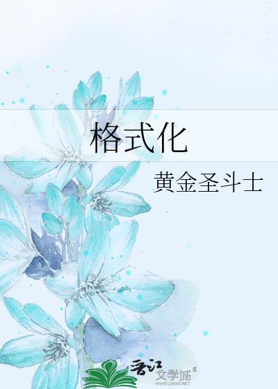格式化什么意思
