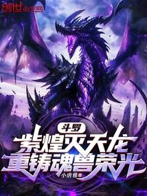 斗罗大陆之紫煌灭天龙武魂
