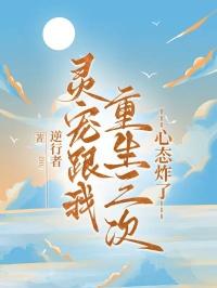 灵宠什么时候更新
