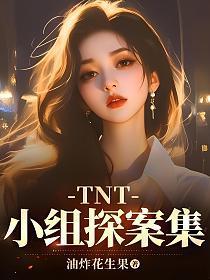 tnt探案