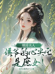 填房夫人txt