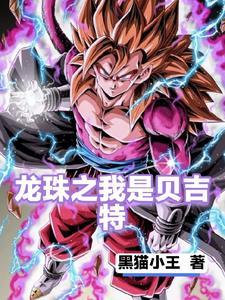 主角是贝吉特的龙珠