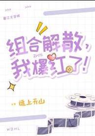 组合解散我爆红了晋江文学城