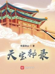 天宝图全集