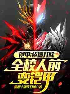 铠甲最帅变身