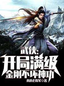 武侠开局满级金刚不坏神功八零电子书