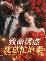 致命诱惑沈总忙追妻
