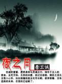 夜之月颜