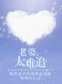 老婆难宠