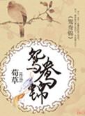 鸳鸯锦是什么