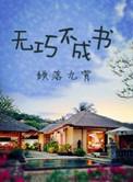无巧不成书最简单解释