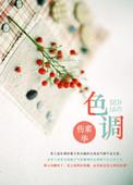 色调和谐是什么意思