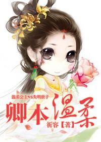 卿本温柔祈容txt