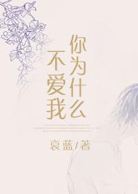 你为什么不爱我