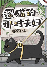 遛猫的视频