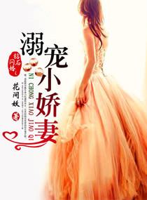 钻石闪婚之溺宠小娇妻完整版
