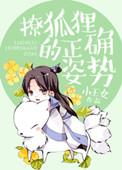 狐狸使用技巧