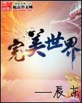 完美世界小天王结局
